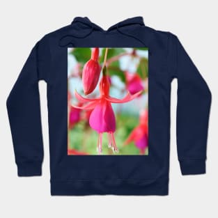 Fuchsia &#39;Pink Fizz&#39; Hoodie